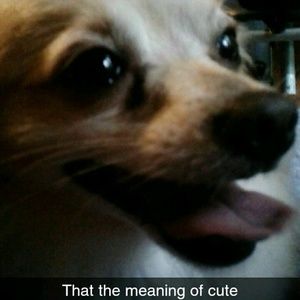 Meet your Posher, Alicia